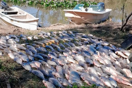 Detectan un campamento clandestino con más de 300 pescados en el interior de Corrientes